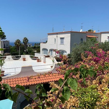 Forio di Ischia Apartment Ponente By Interhome מראה חיצוני תמונה