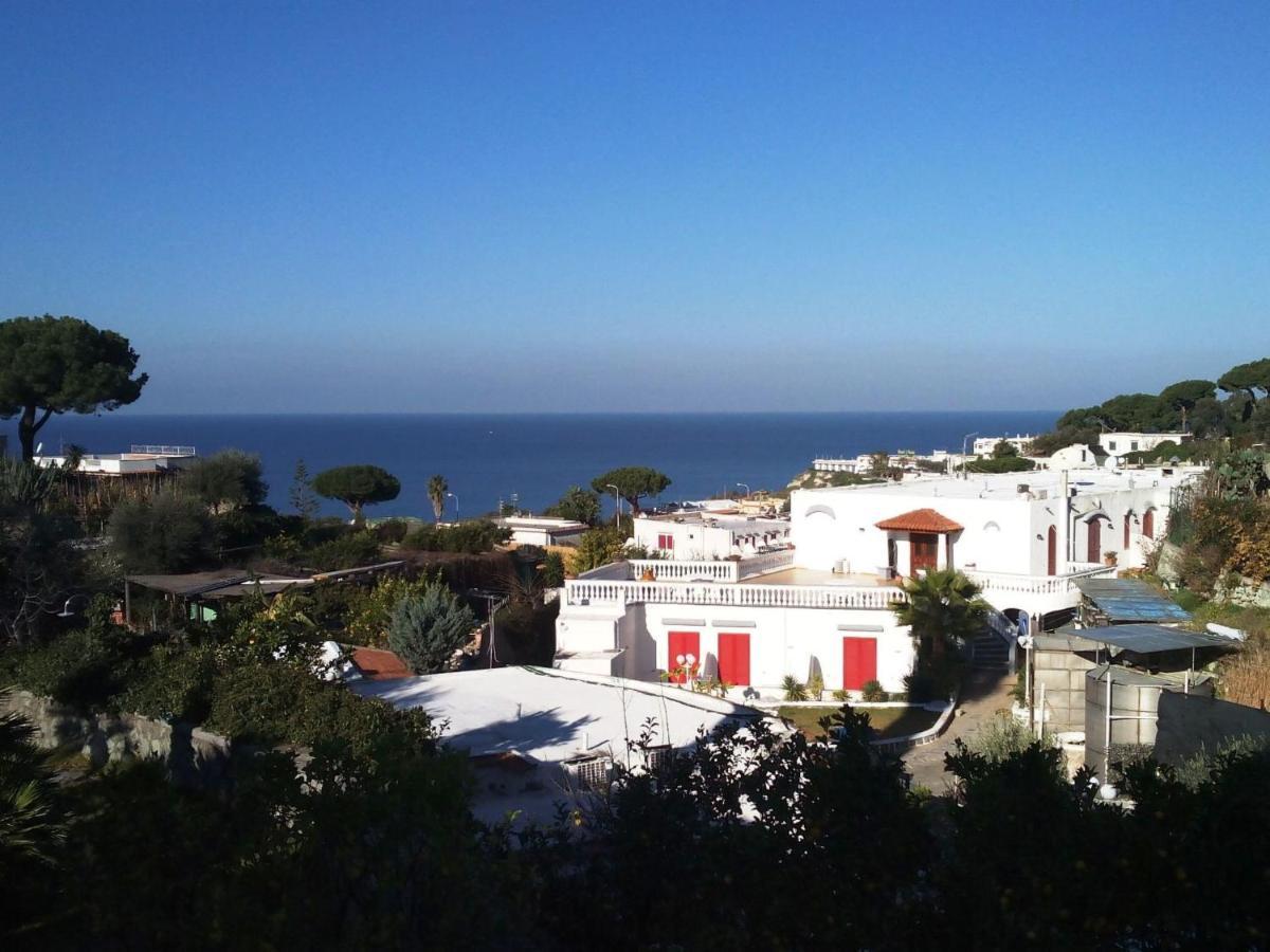 Forio di Ischia Apartment Ponente By Interhome מראה חיצוני תמונה